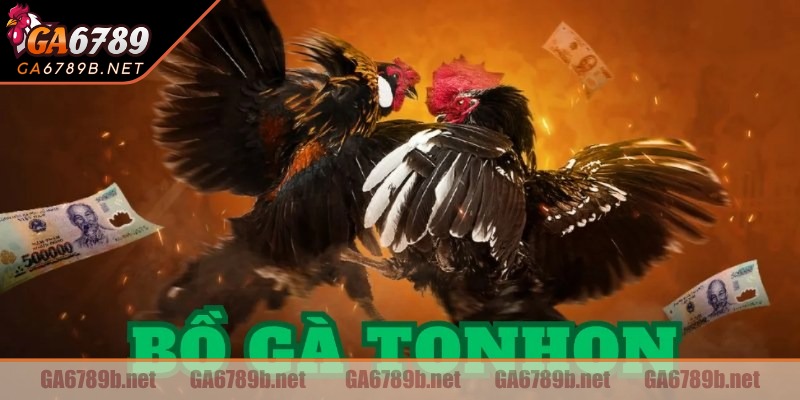 Tham gia trải nghiệm xem trực tiếp cực hấp dẫn