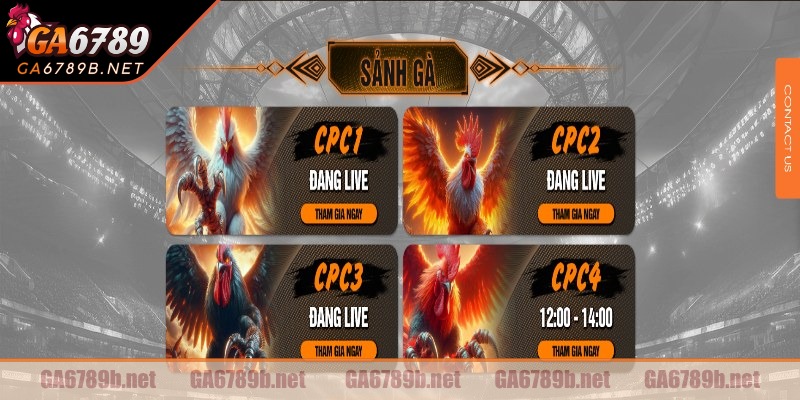 Nguồn gốc và quá trình phát triển của đá gà CPC1