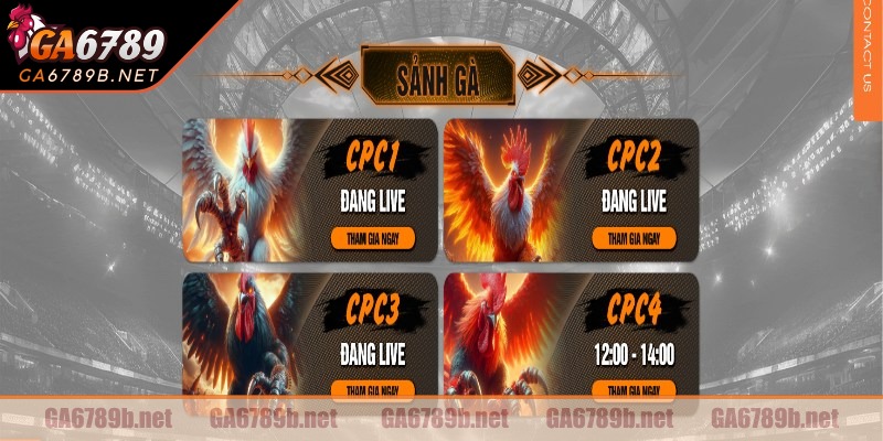 Hành trình phát triển của đá gà CPC2