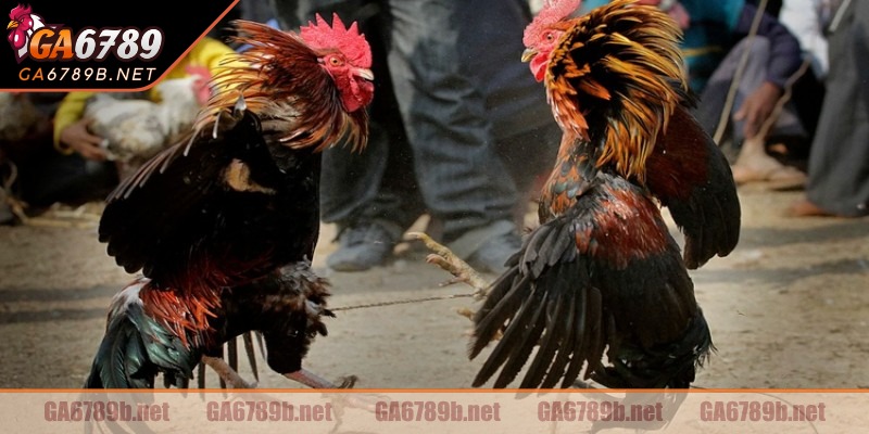 Tham gia đơn giản chỉ với vài bước