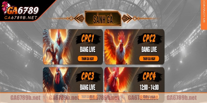 Sự phát triển của đá gà CPC3