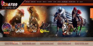 Sức hút hấp dẫn của đá gà CPC4