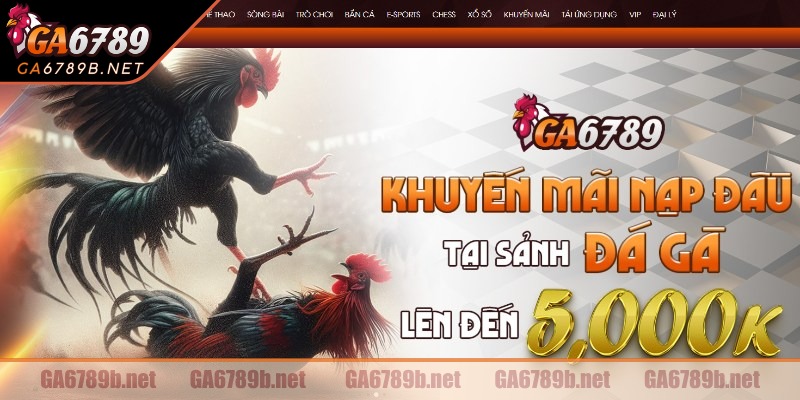 Lịch sử phát triển của đá gà cựa dao