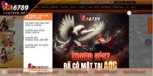 Lịch sử phát triển của đá gà cựa dao