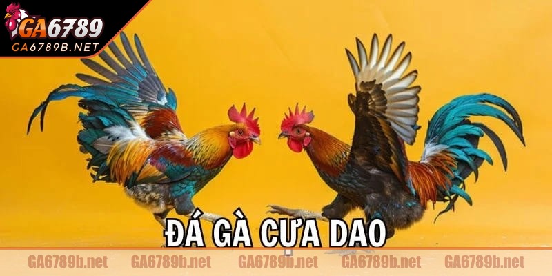 Trải nghiệm theo dõi các trận đấu cực hấp dẫn