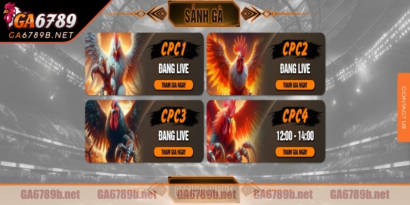 Đá gà cựa dao GA 6789 – Pha đấu quyết liệt, tốc độ cao