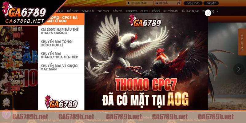 Mẹo hữu ích khi tham gia trò chơi