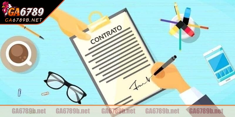 Mọi quyết định cá cược đều do người chơi tự chịu trách nhiệm