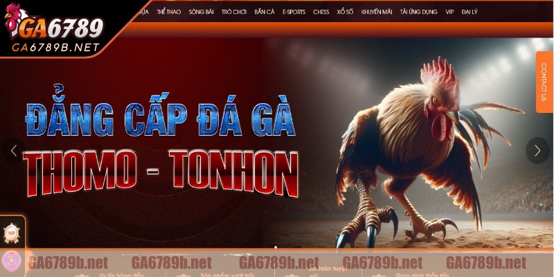 Tìm hiểu tổng quan về nền tảng GA6789