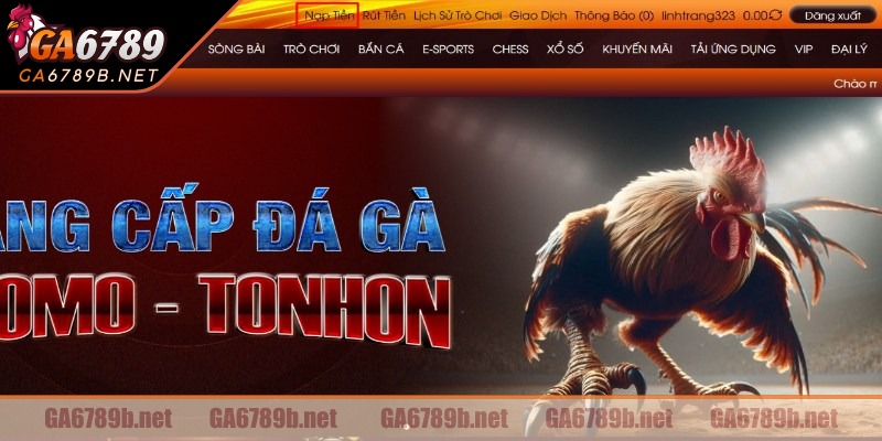 Câu hỏi thường gặp giúp hiểu rõ hơn về thời gian xử lý, giới hạn giao dịch