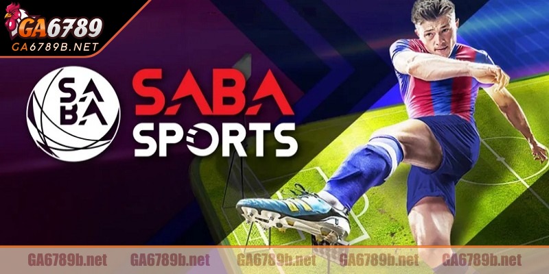 Lịch sử hình thành của sảnh thể thao SABA