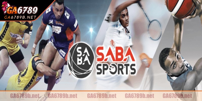 Những loại kèo phổ biến khi tham gia