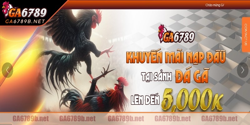 Giới thiệu vài nét về trường gà đòn Đắk Puer