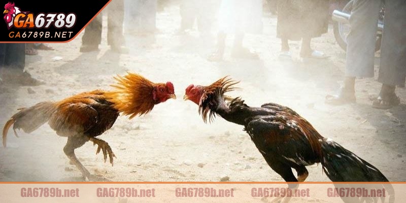 Nơi phát sóng trực tiếp từng phút giây