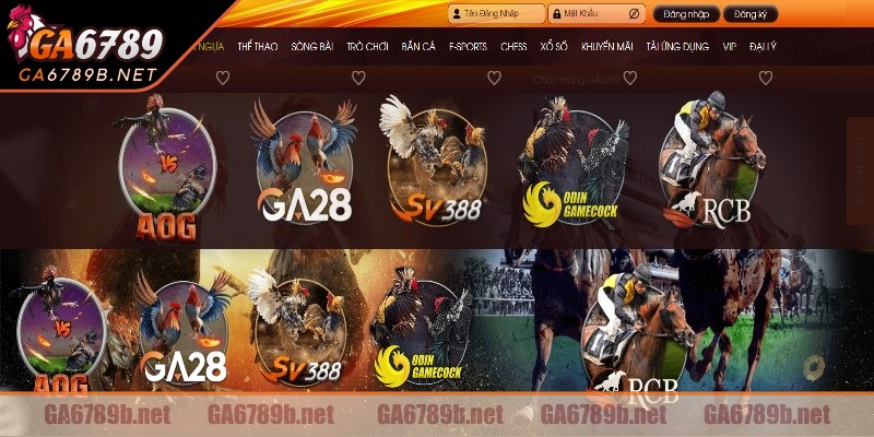 Tổng quan đôi nét về trường gà đòn Savan